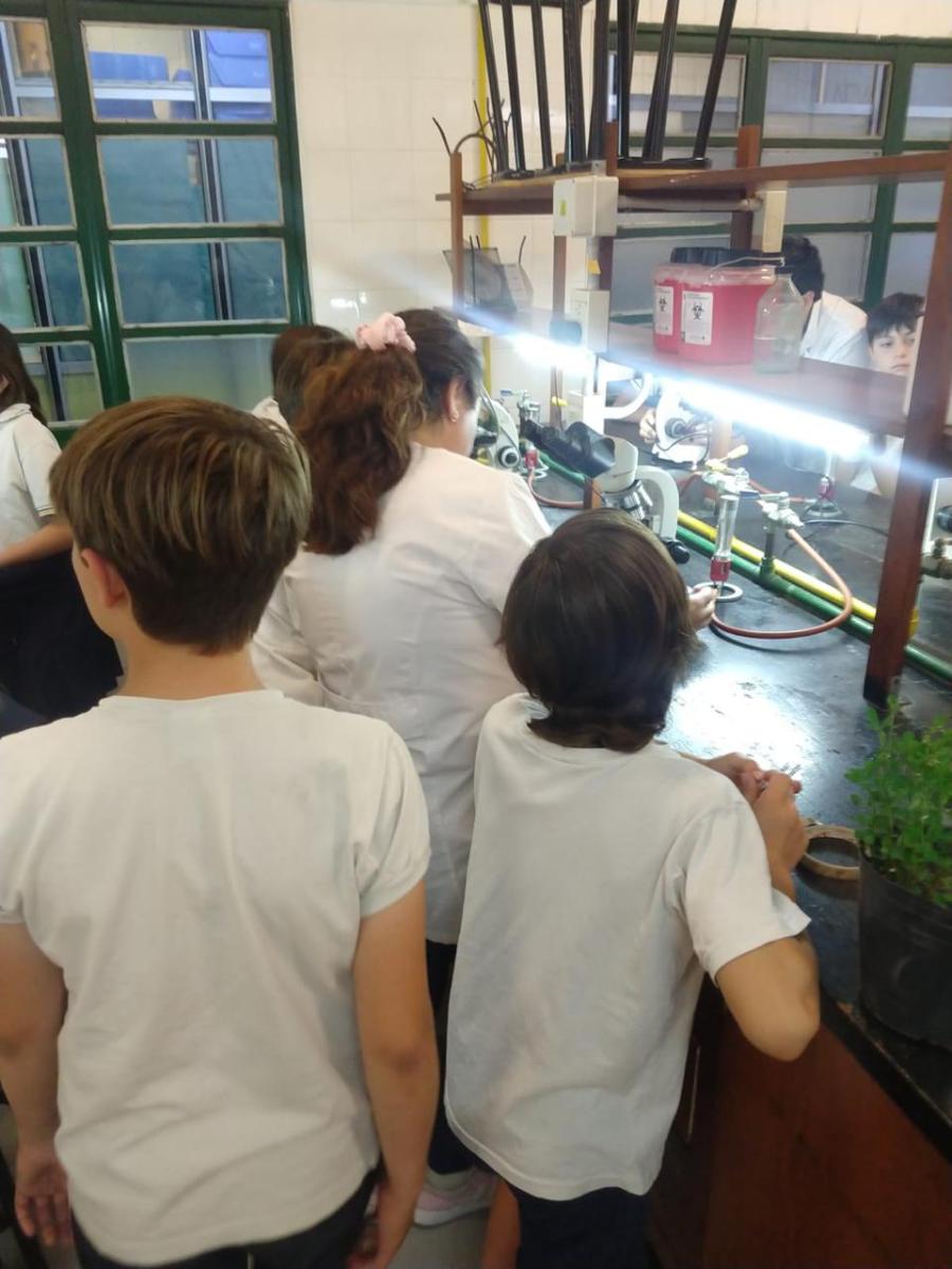 Lab1.jpeg