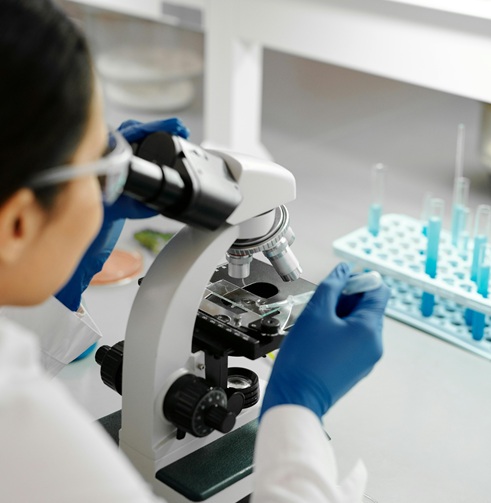 Taller extracurricular Microscopía para estudiantes: aplicaciones en seguridad alimentaria y calidad de efluentes industriales