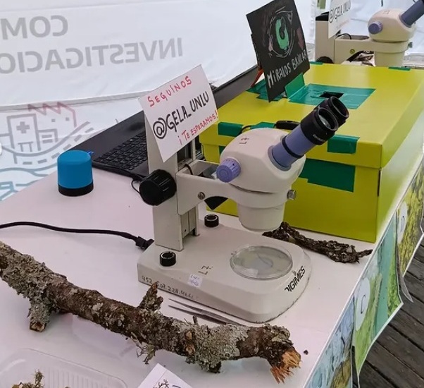 El Grupo de Estudios en Líquenes Argentinos representó a la UNLu en la Plaza de la Ciencia de la República de los Niños